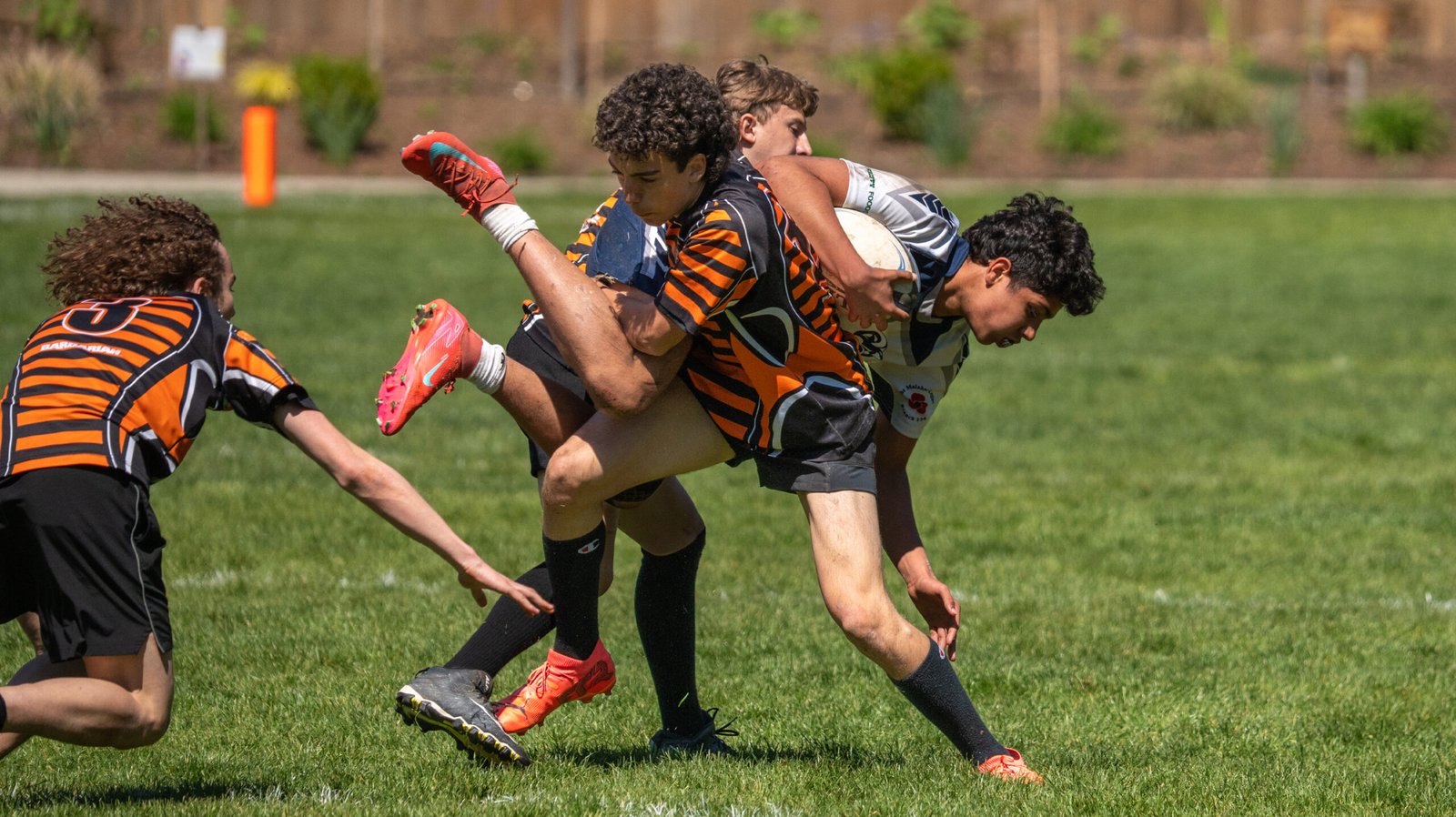 Sports photography sample